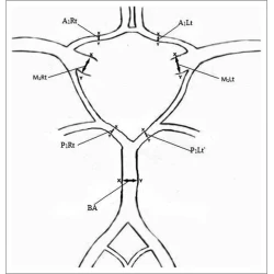 Article figure