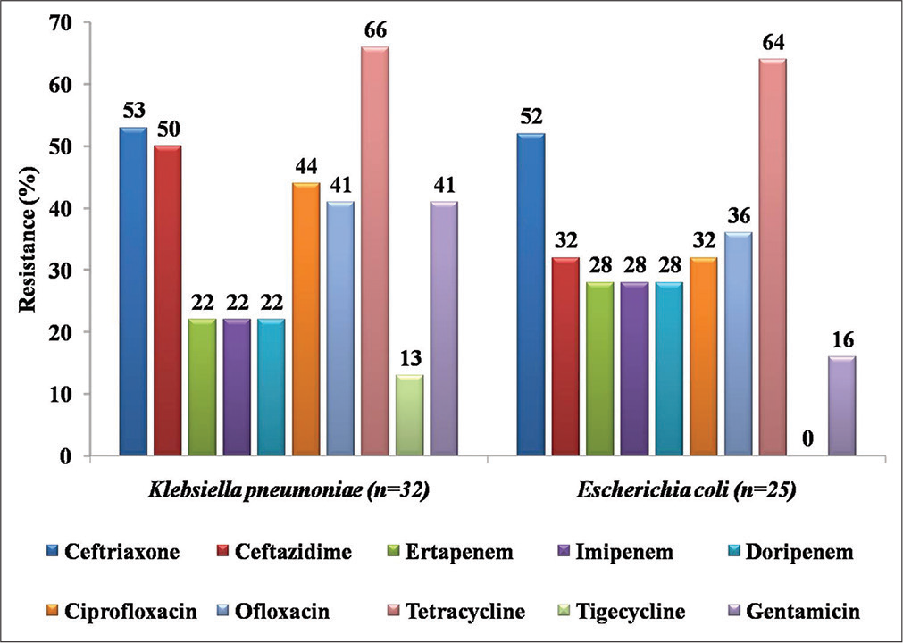 Antibiotic resistance profile of lactose-fermenting Enterobacteriaceae (Klebsiella pneumoniae and Escherichia coli).